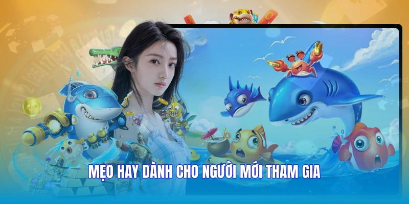Mẹo hay dành cho người mới tham gia